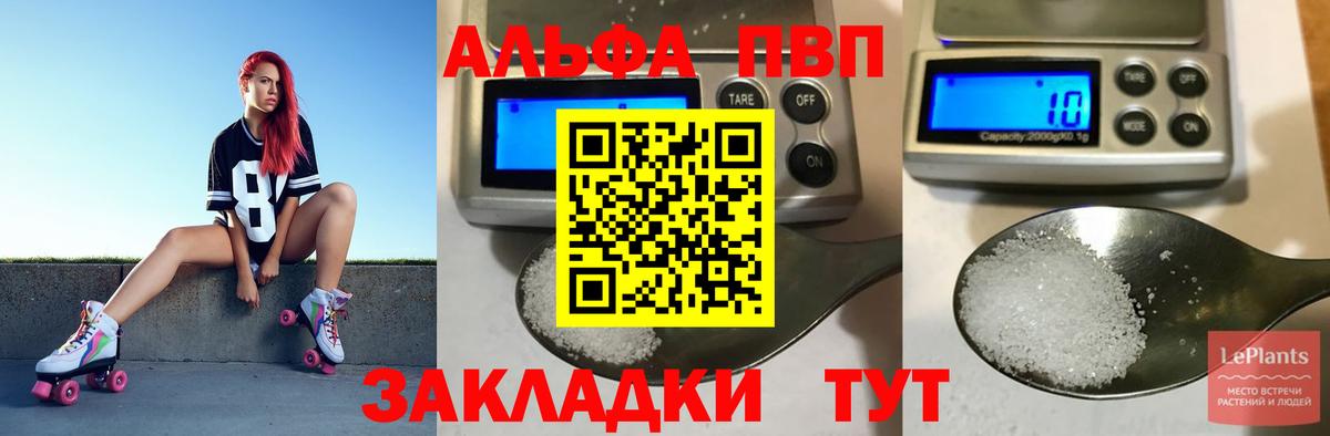 A-PVP СК КРИС Владикавказ