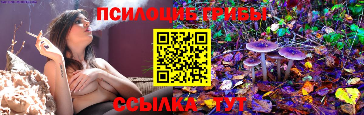 Галлюциногенные грибы GOLDEN TEACHER Владикавказ